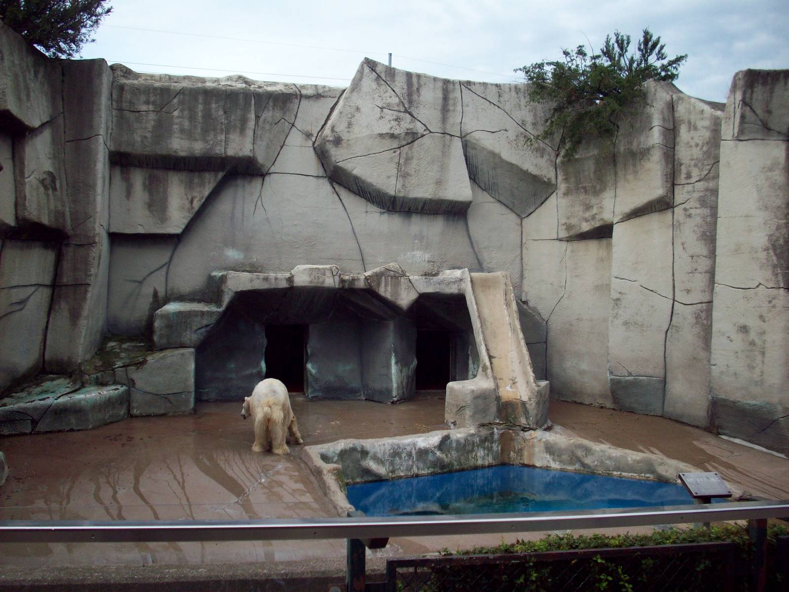 Polar Bear Exhibit