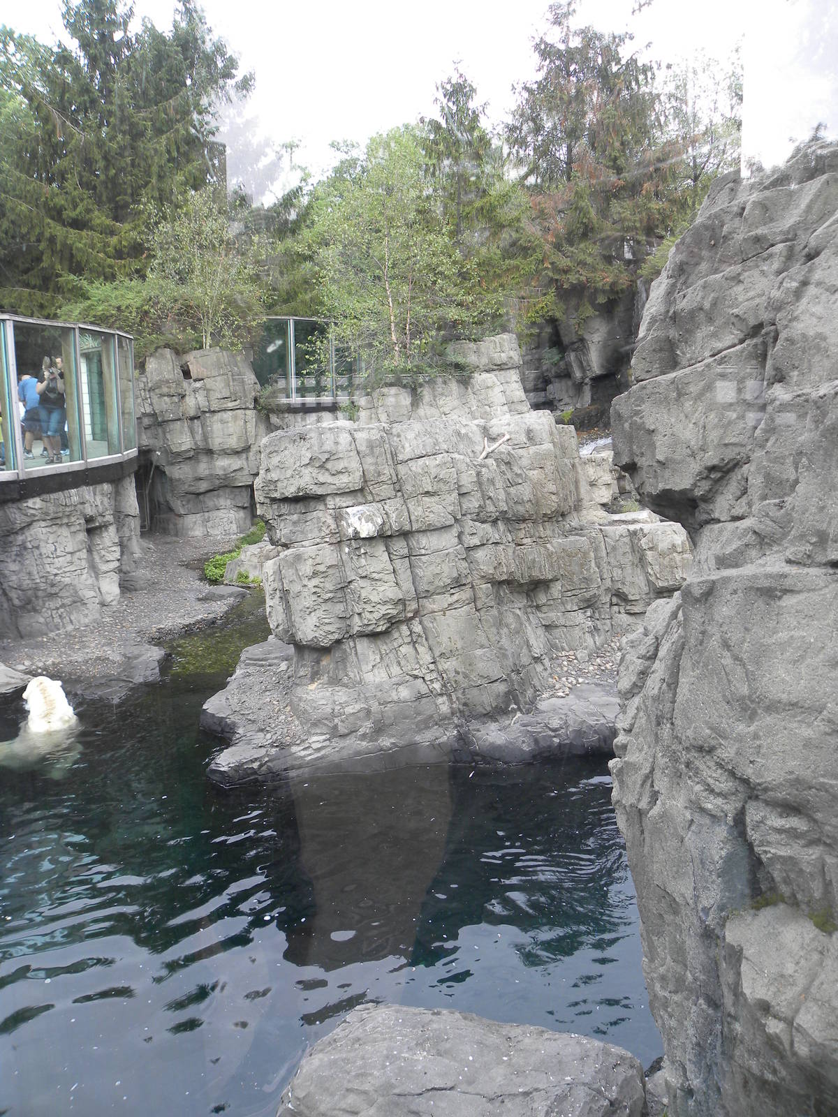 Polar Bear Exhibit