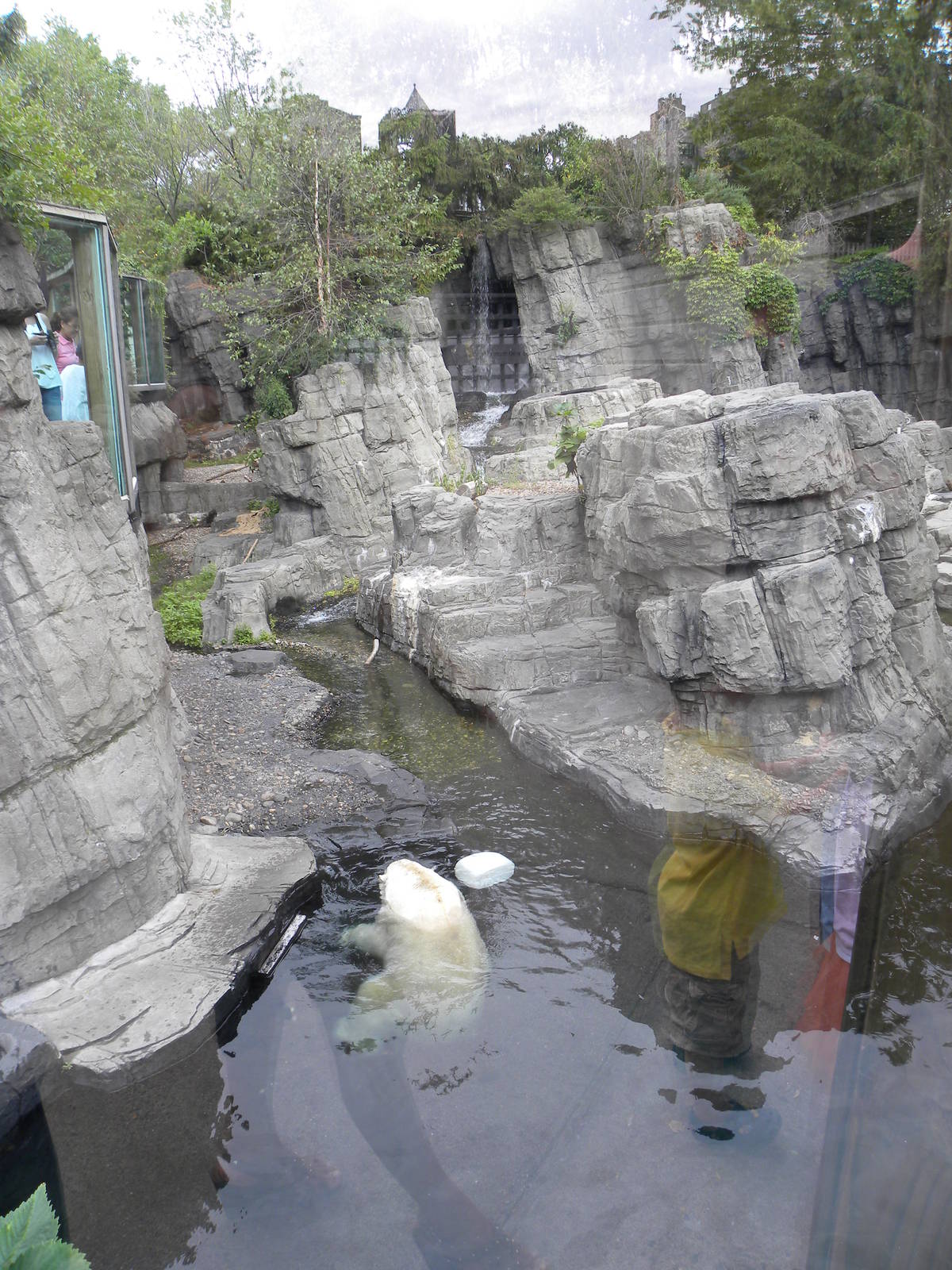 Polar Bear Exhibit
