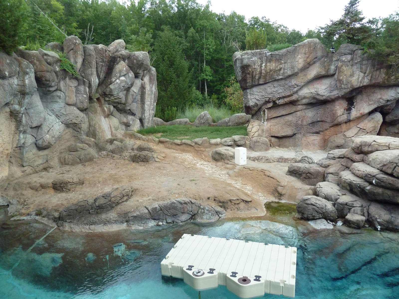 Polar Bear Exhibit