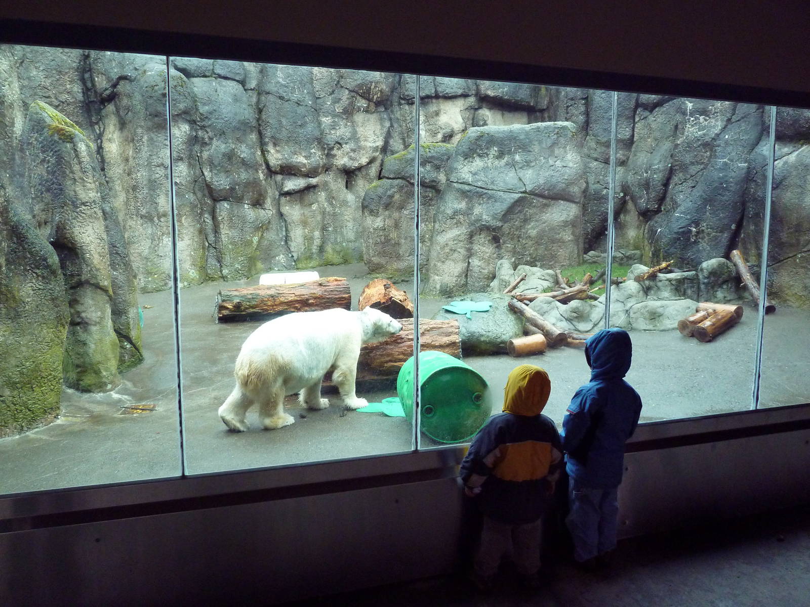 Polar Bear Exhibit
