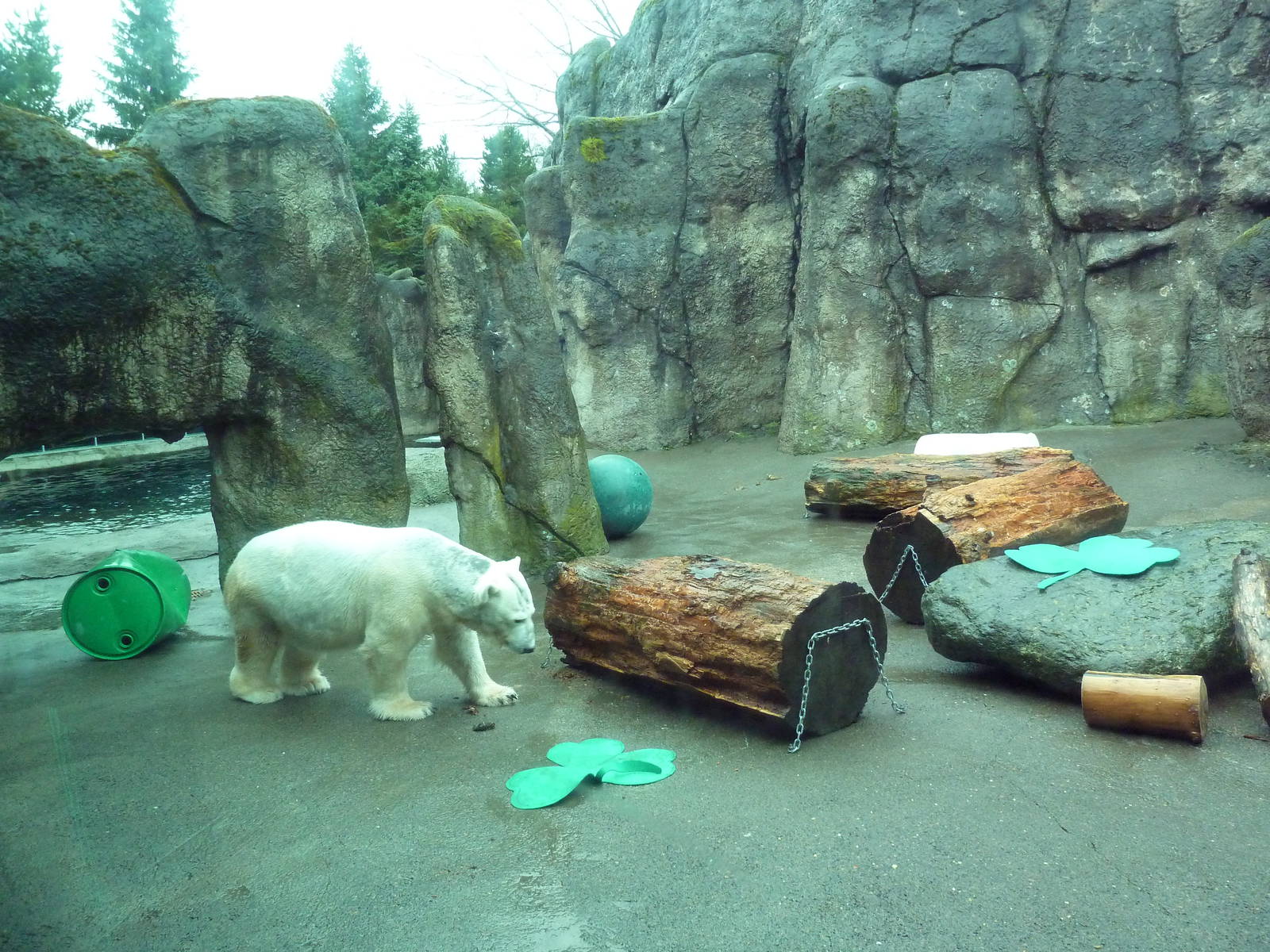 Polar Bear Exhibit