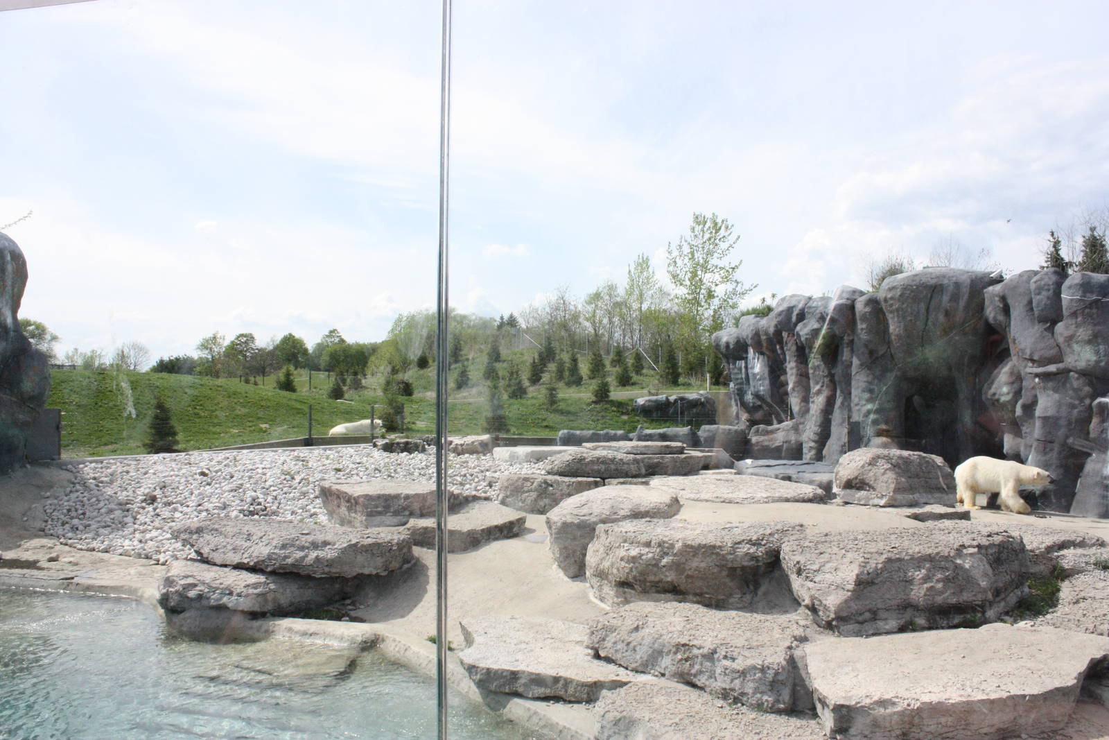 Polar Bear Exhibit