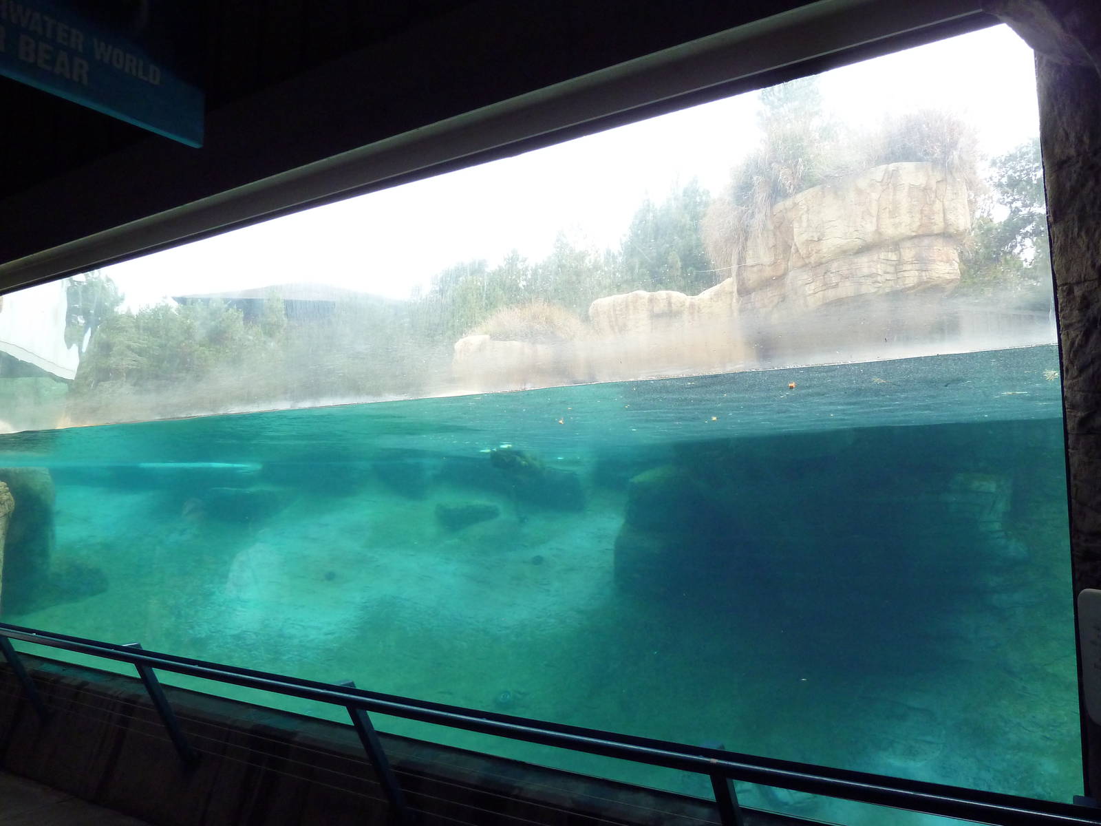 Polar Bear Exhibit