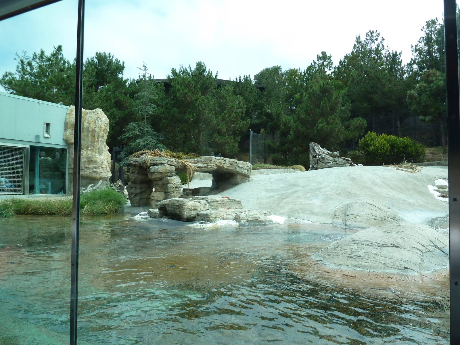 Polar Bear Exhibit
