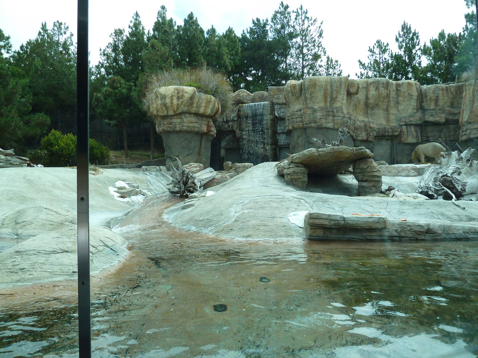 Polar Bear Exhibit