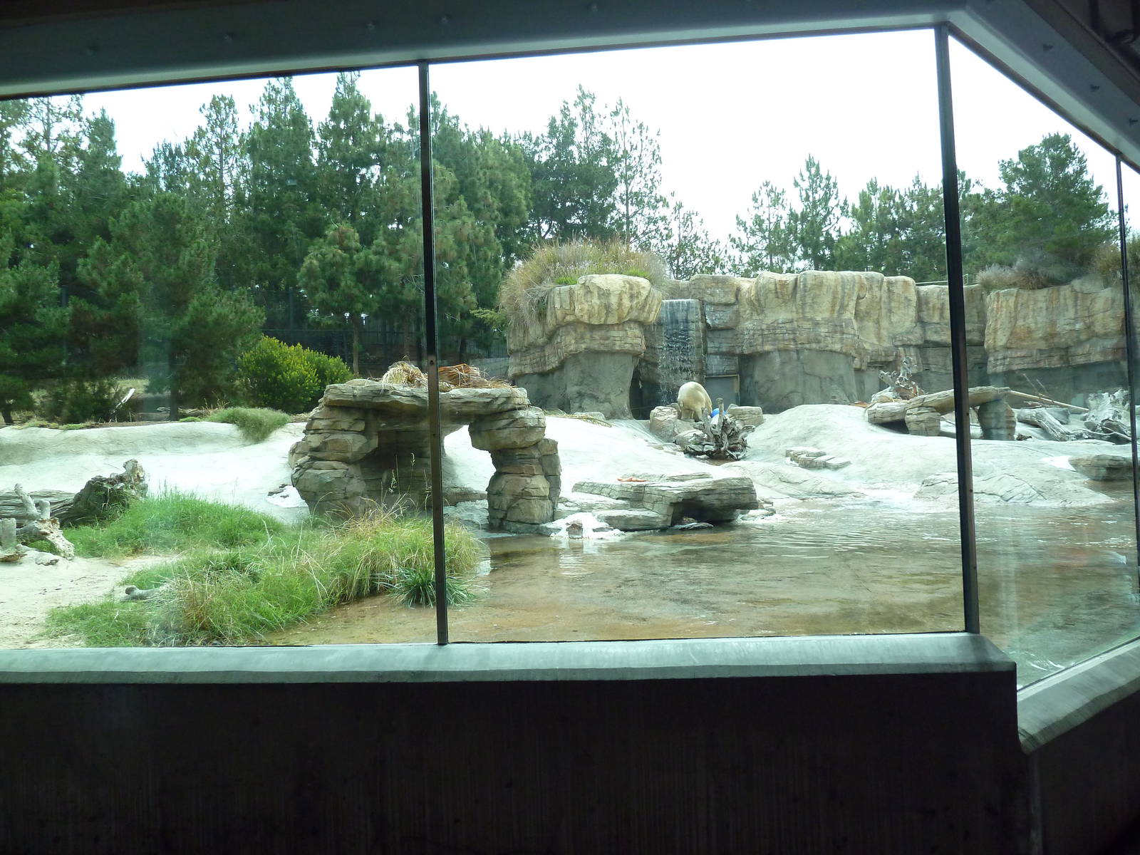 Polar Bear Exhibit