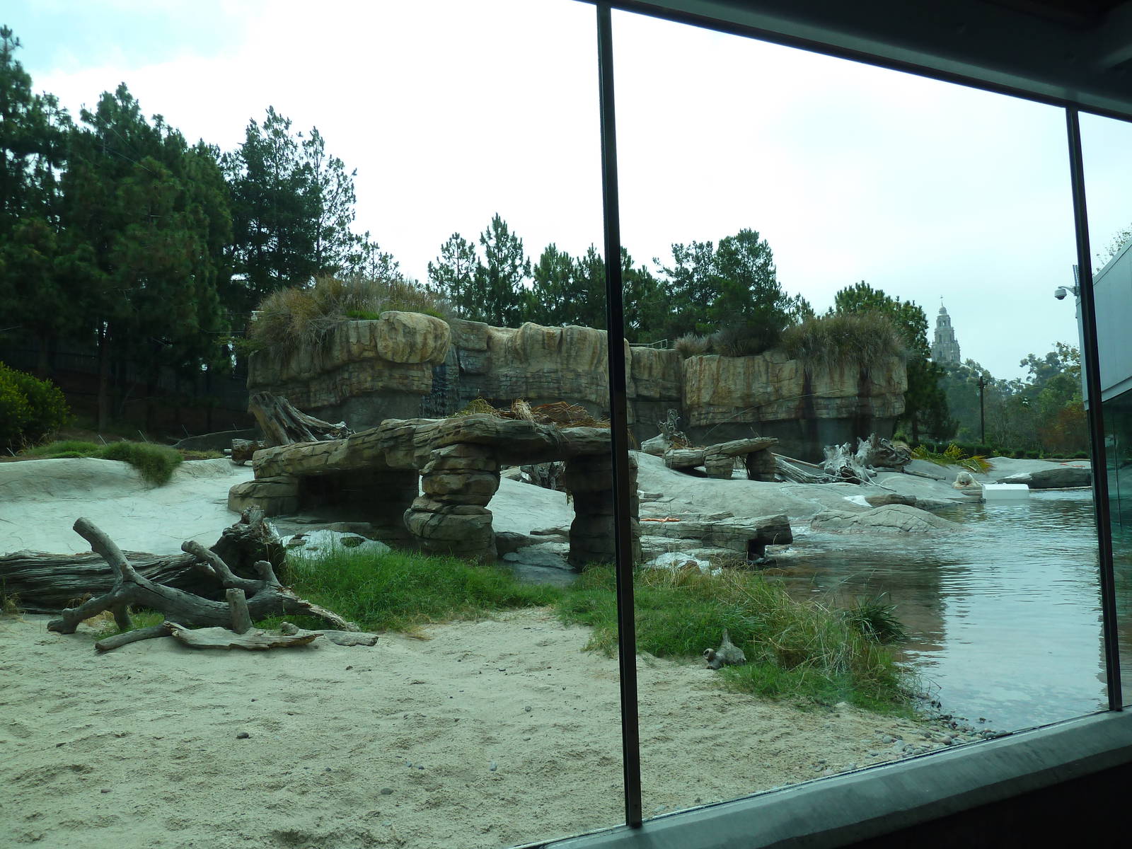 Polar Bear Exhibit