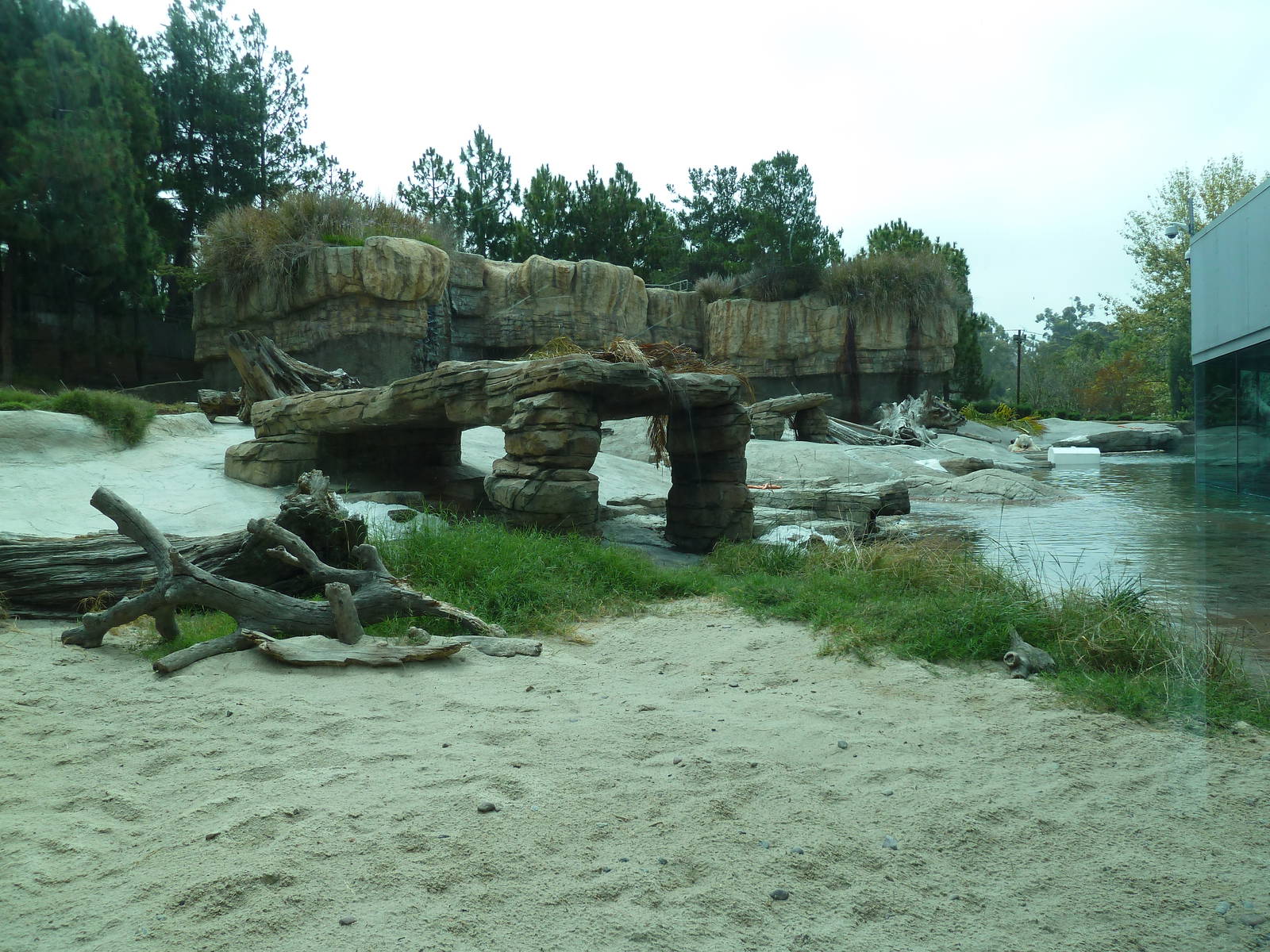 Polar Bear Exhibit