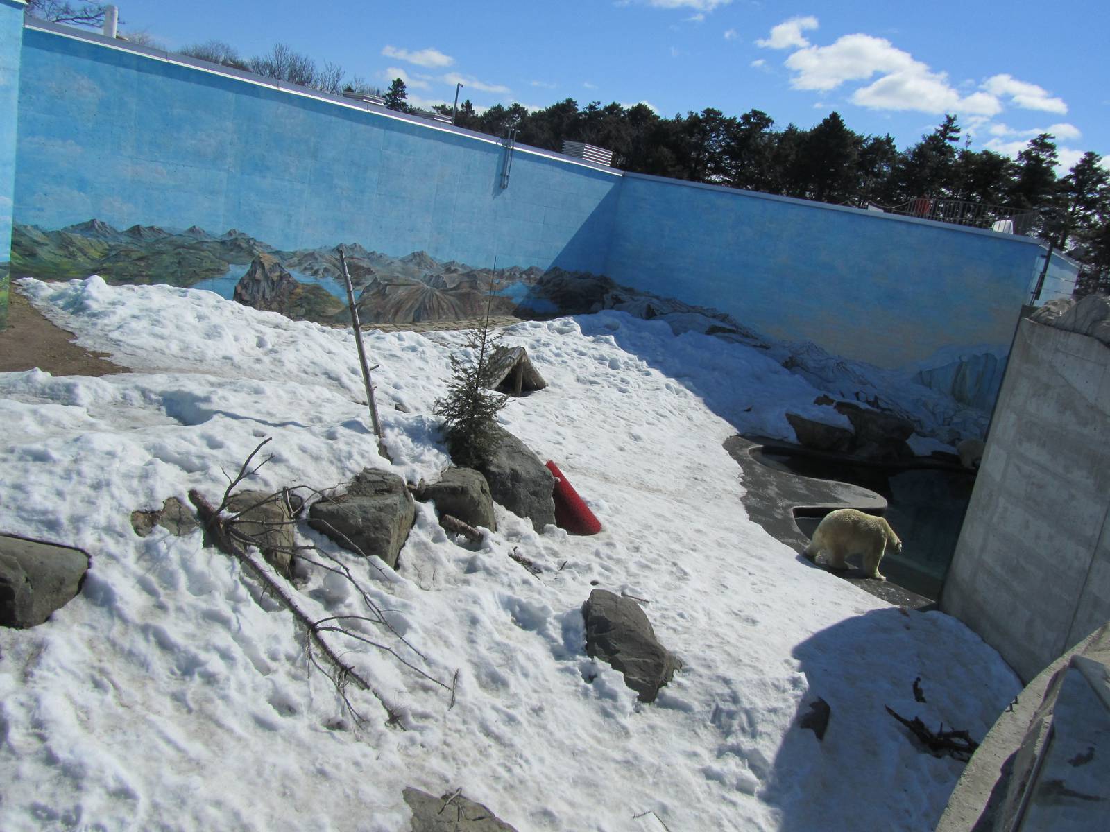 Polar Bear Exhibit