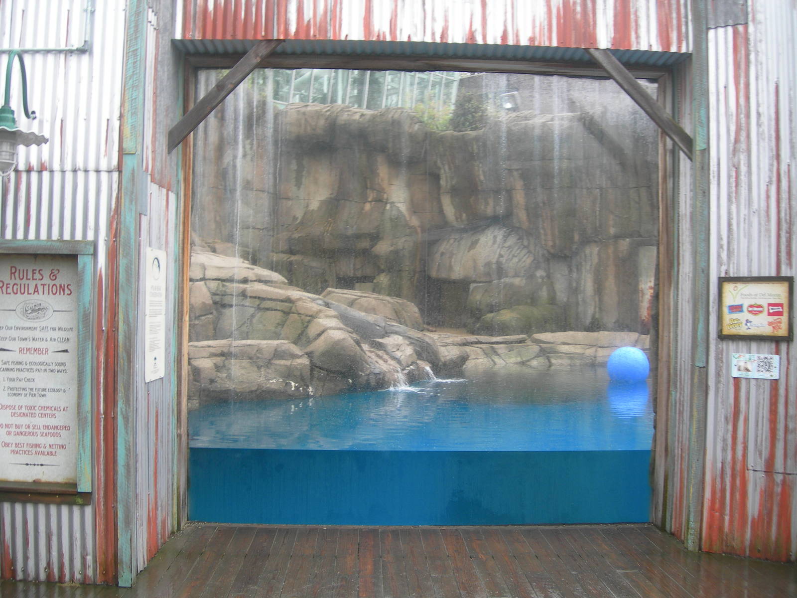 Polar Bear Exhibit