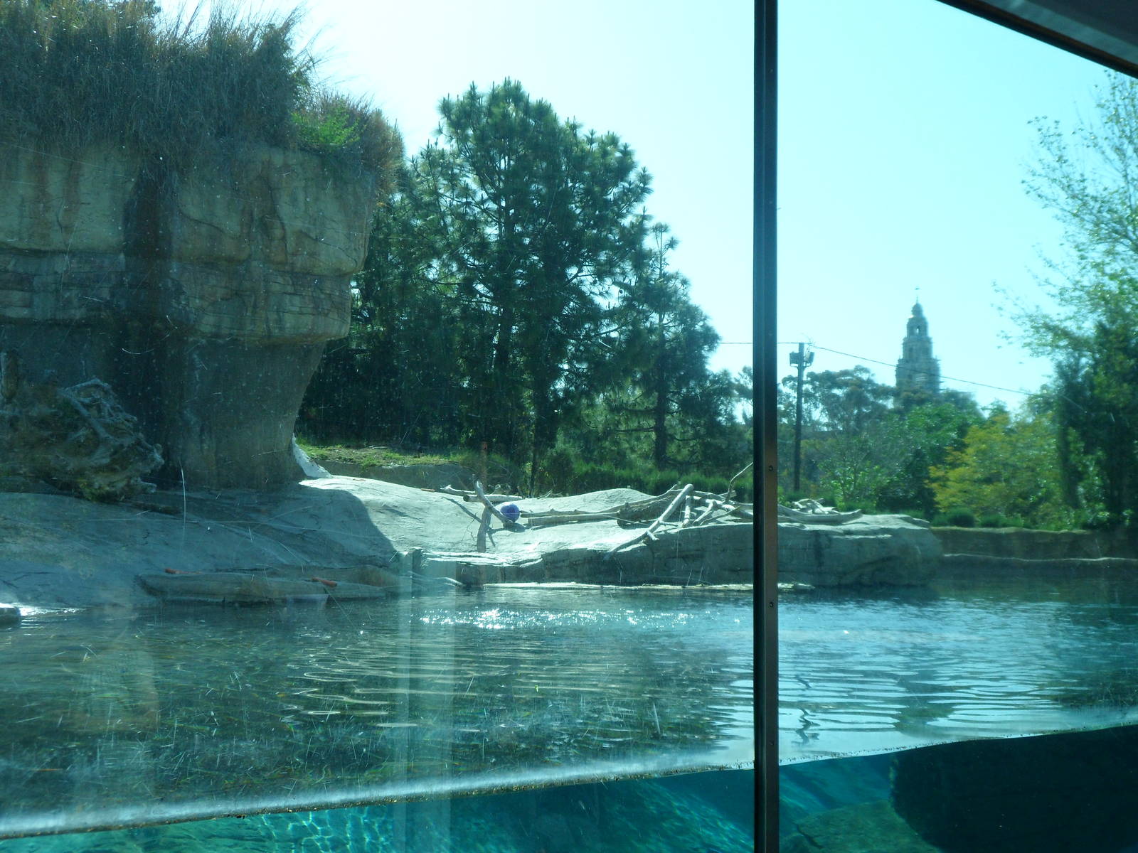 Polar Bear Exhibit