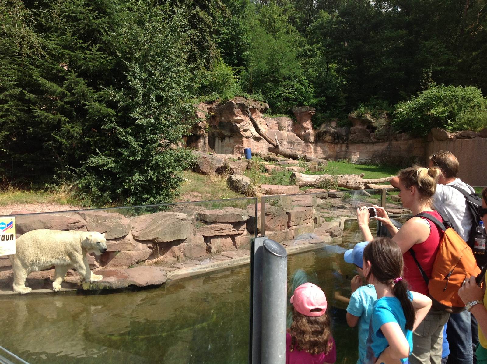 Polar bear exhibit