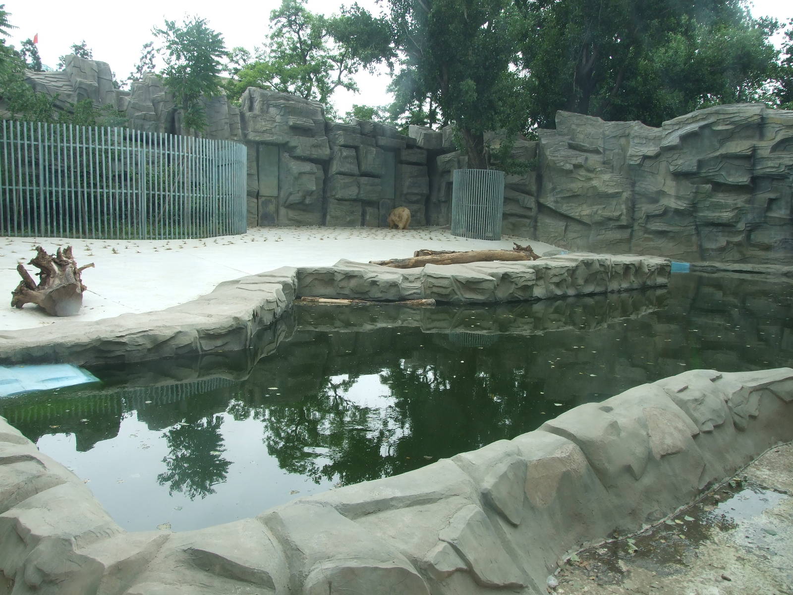 Polar Bear exhibit