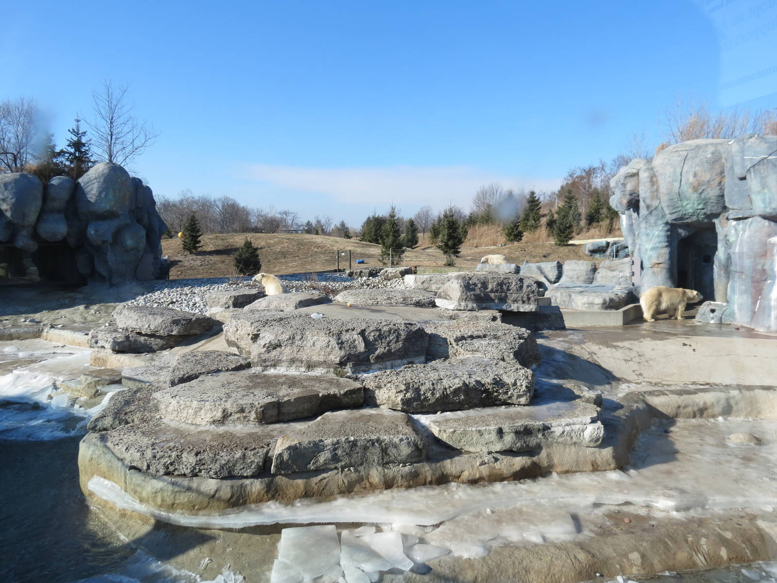 Polar Bear Exhibit