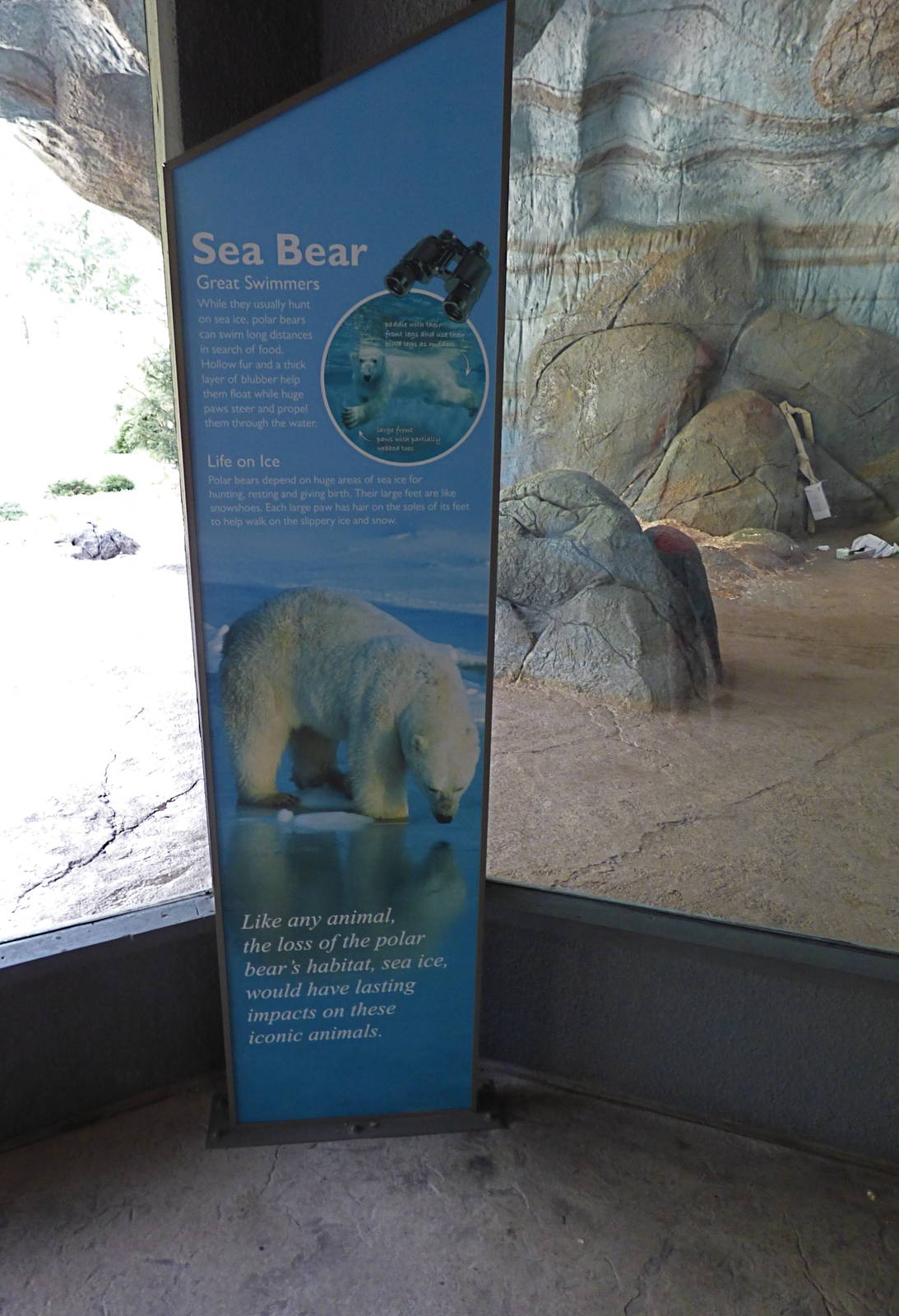 Polar Bear Exhibit