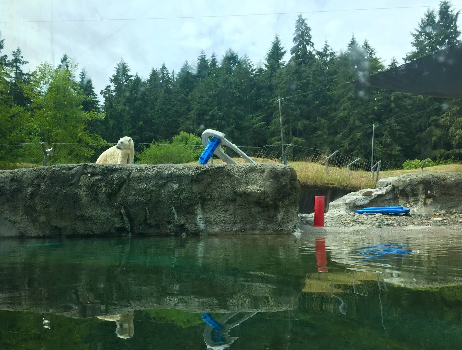 Polar Bear Exhibit