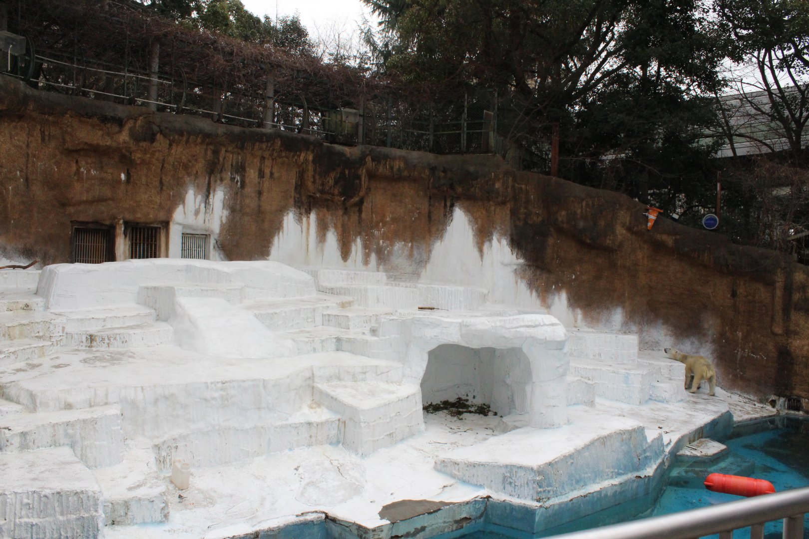 Polar bear exhibit