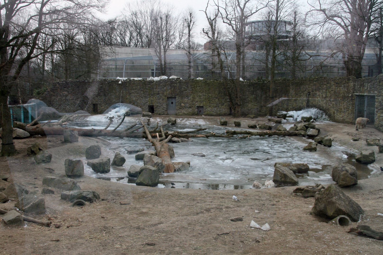 Polar bear exhibit