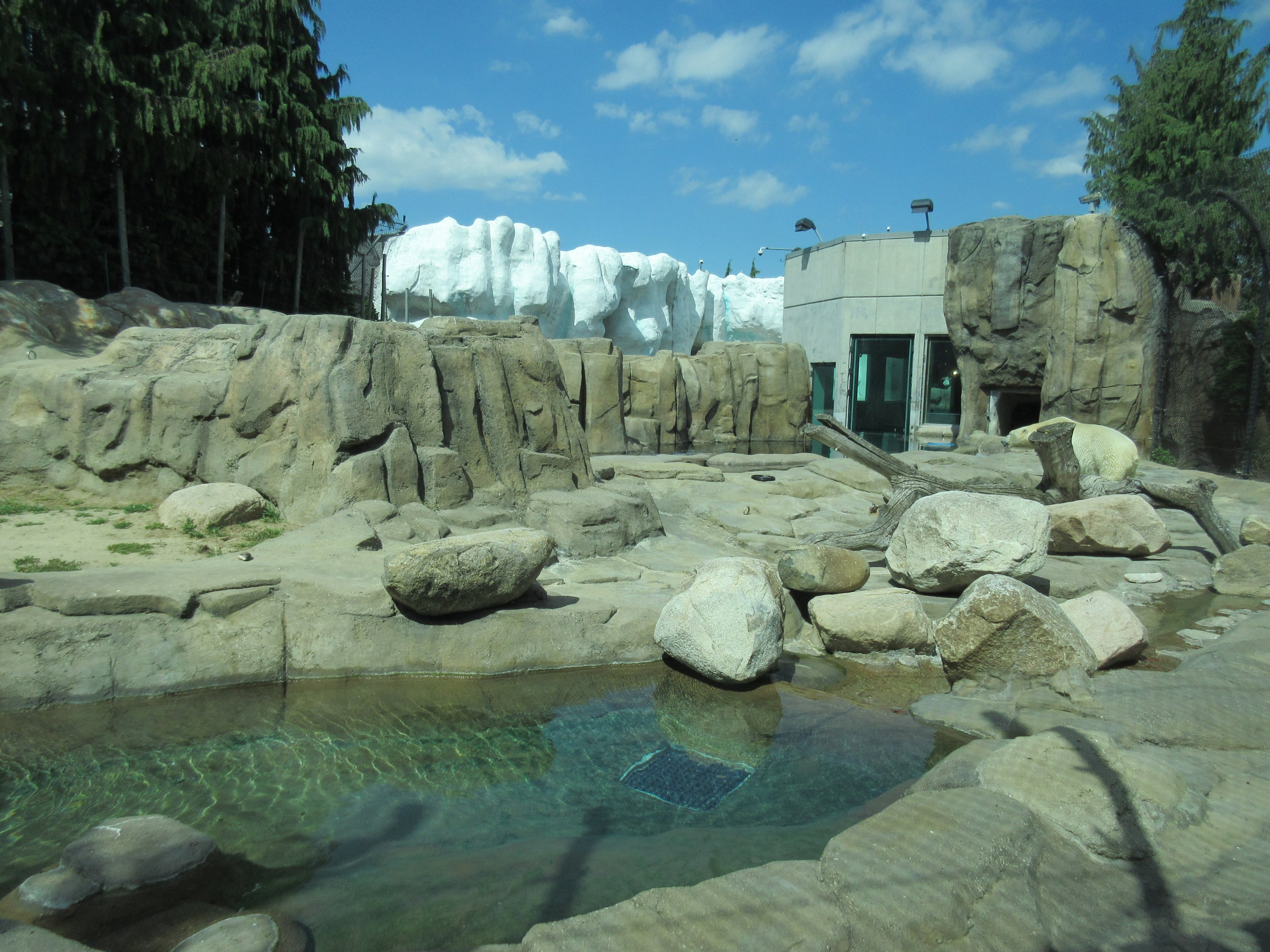Polar Bear Exhibit