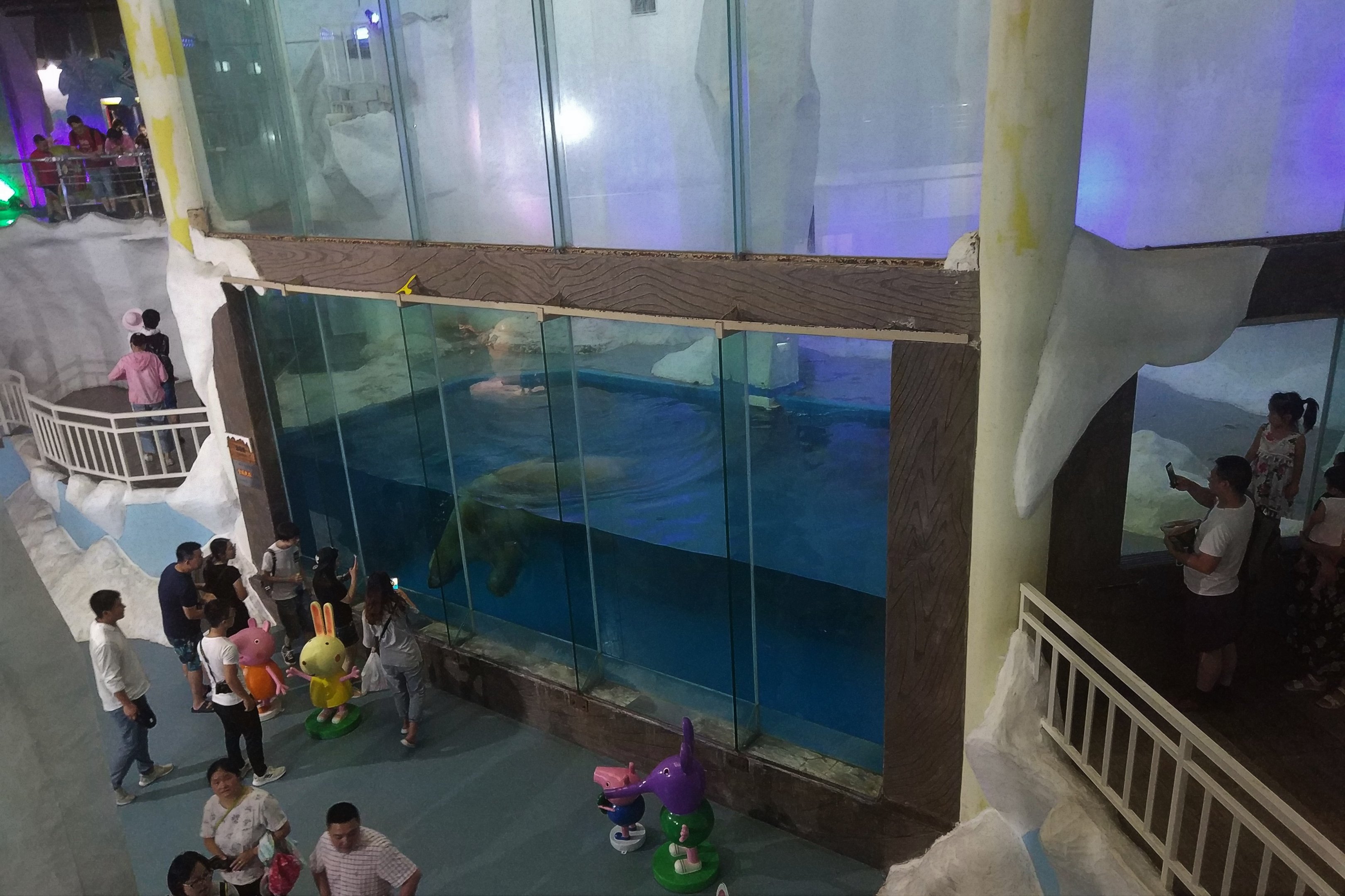 Polar Bear Exhibit