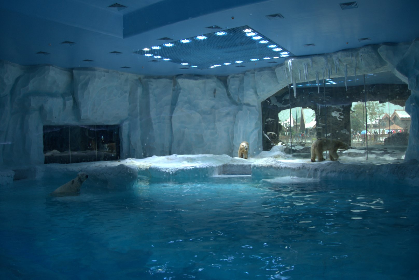 Polar Bear Exhibit