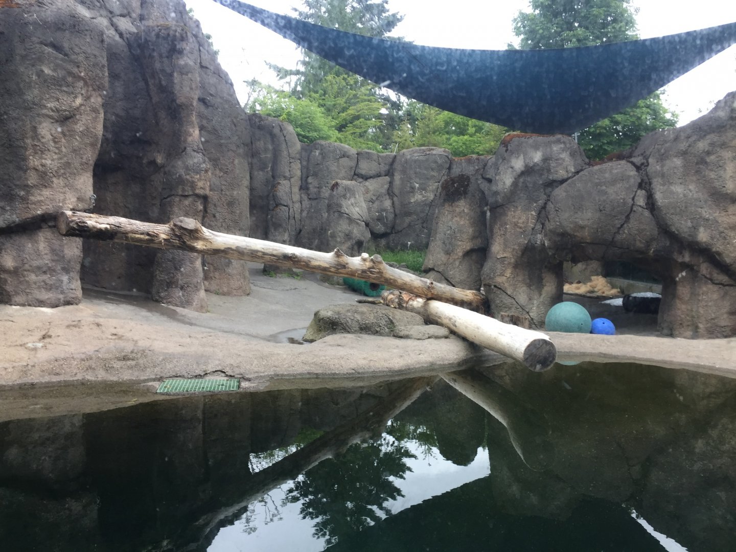 Polar Bear Exhibit