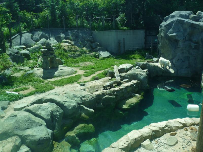 Polar bear exhibit