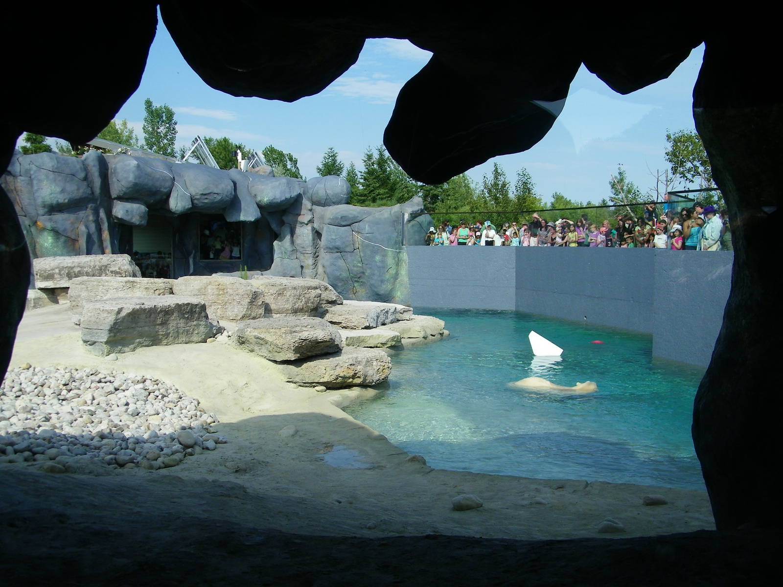 Polar Bear Exhibit