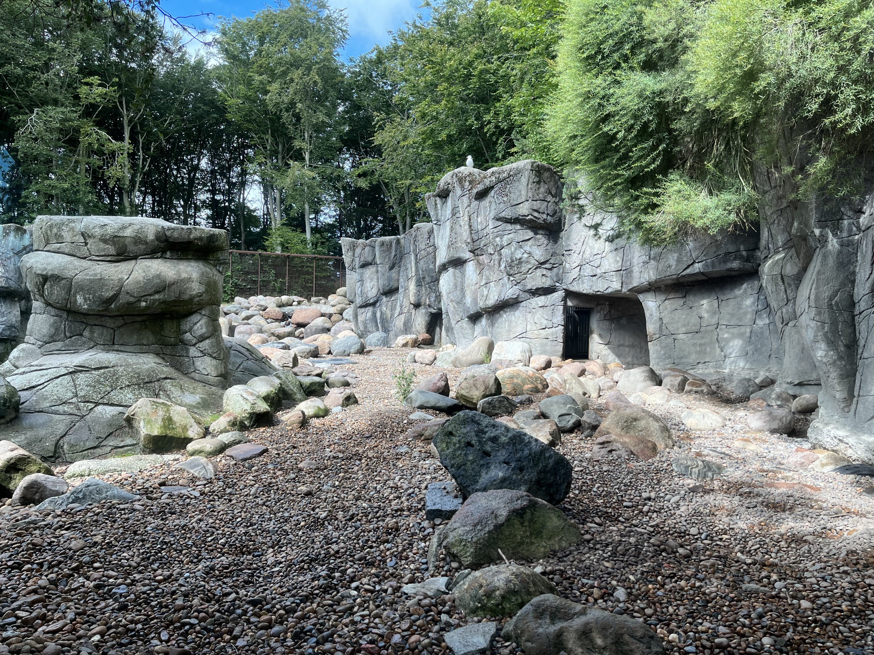 Polar Bear Exhibit