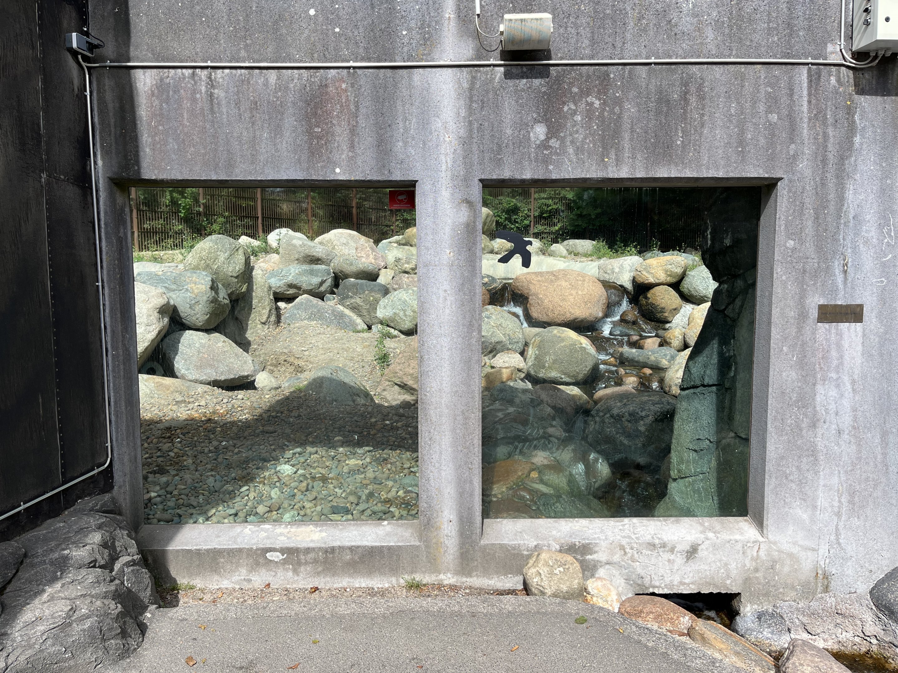 Polar Bear Exhibit
