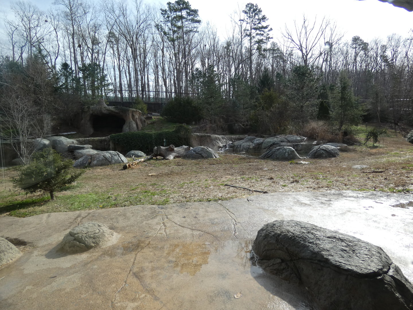 Polar Bear exhibit