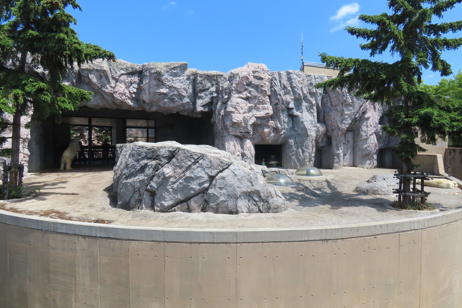 Polar bear exhibit