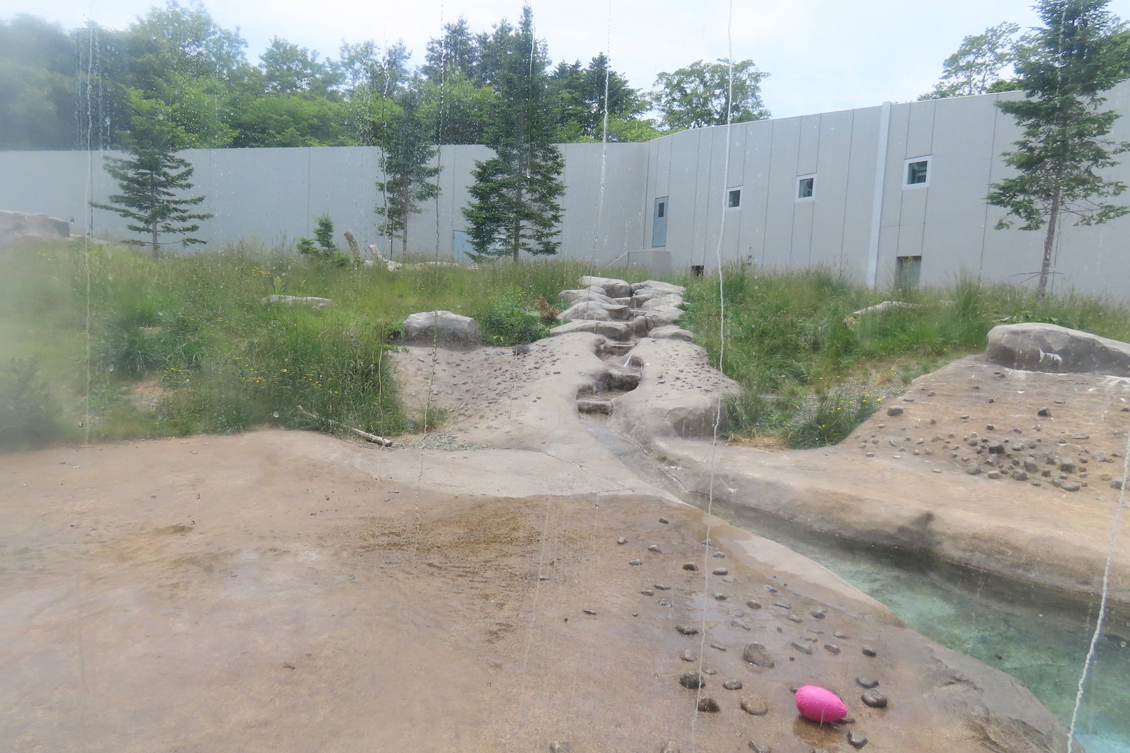 Polar bear exhibit