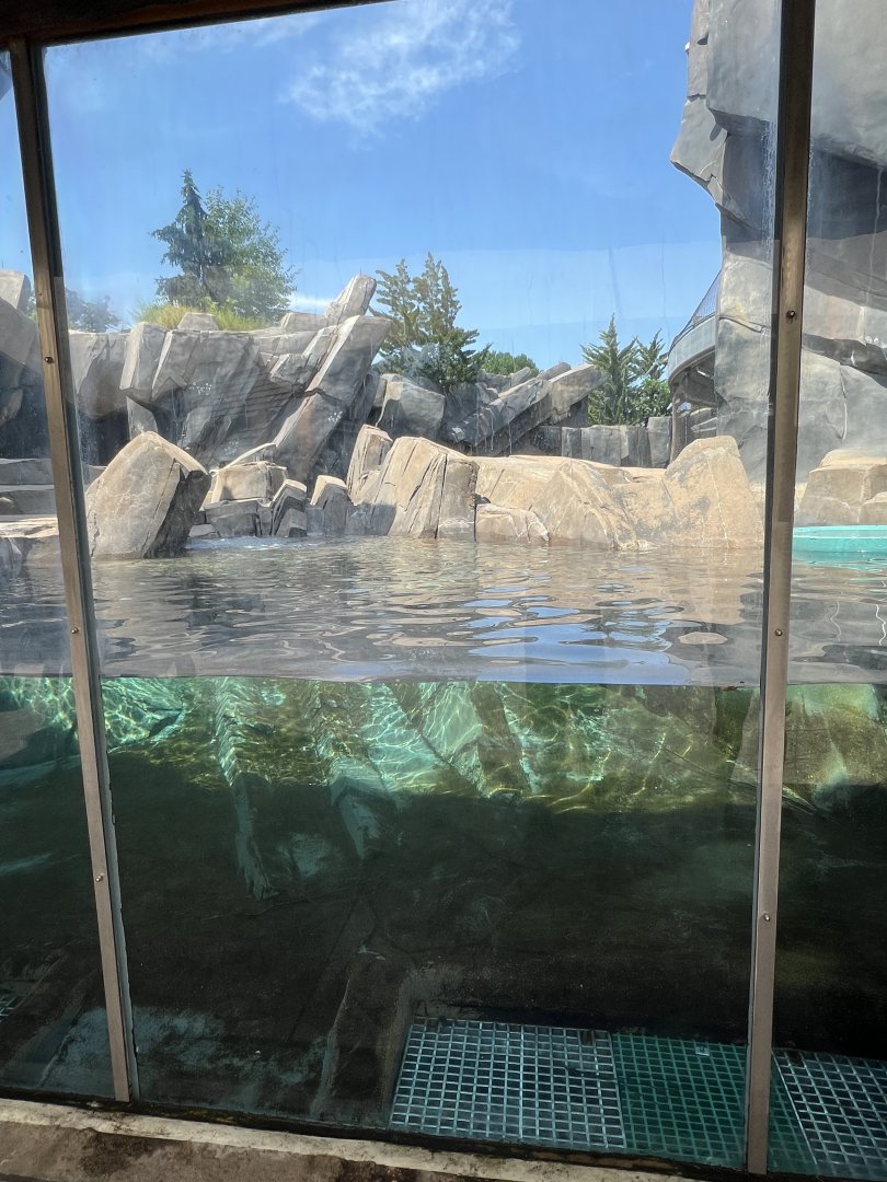 Polar Bear Exhibit