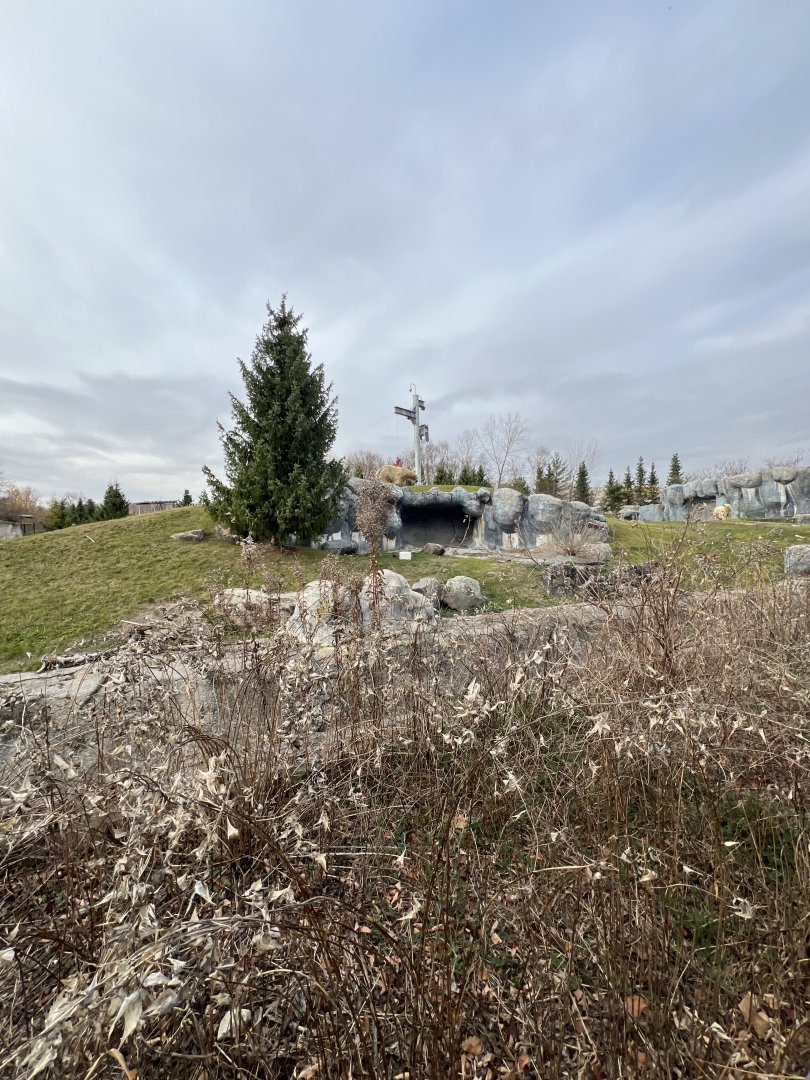 Polar Bear Exhibit
