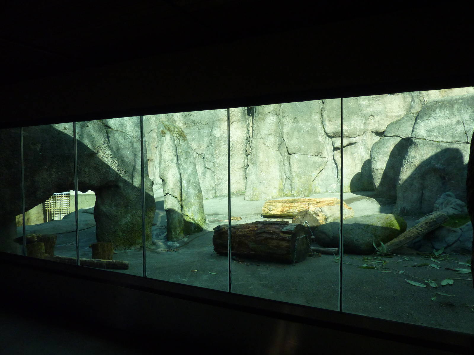 Polar Bear Exhibit