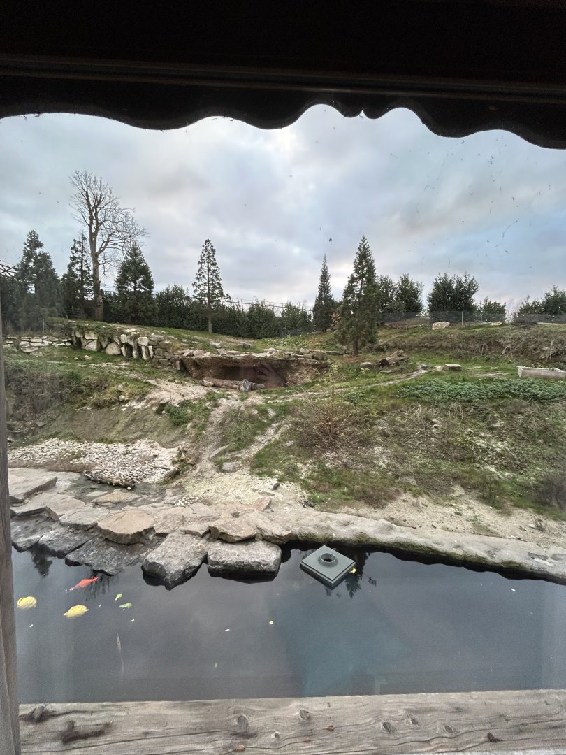 Polar bear exhibit