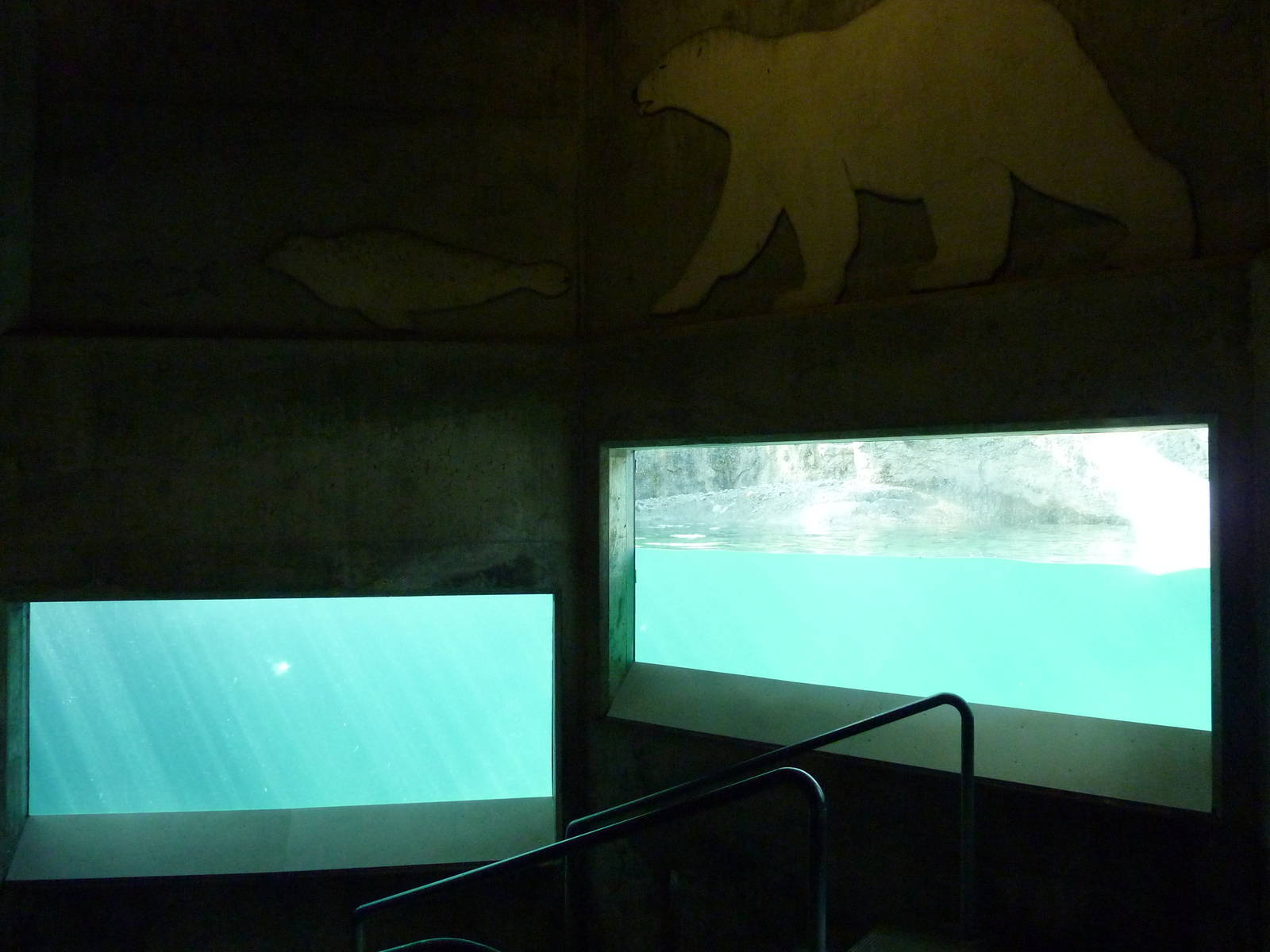 Polar Bear Exhibit