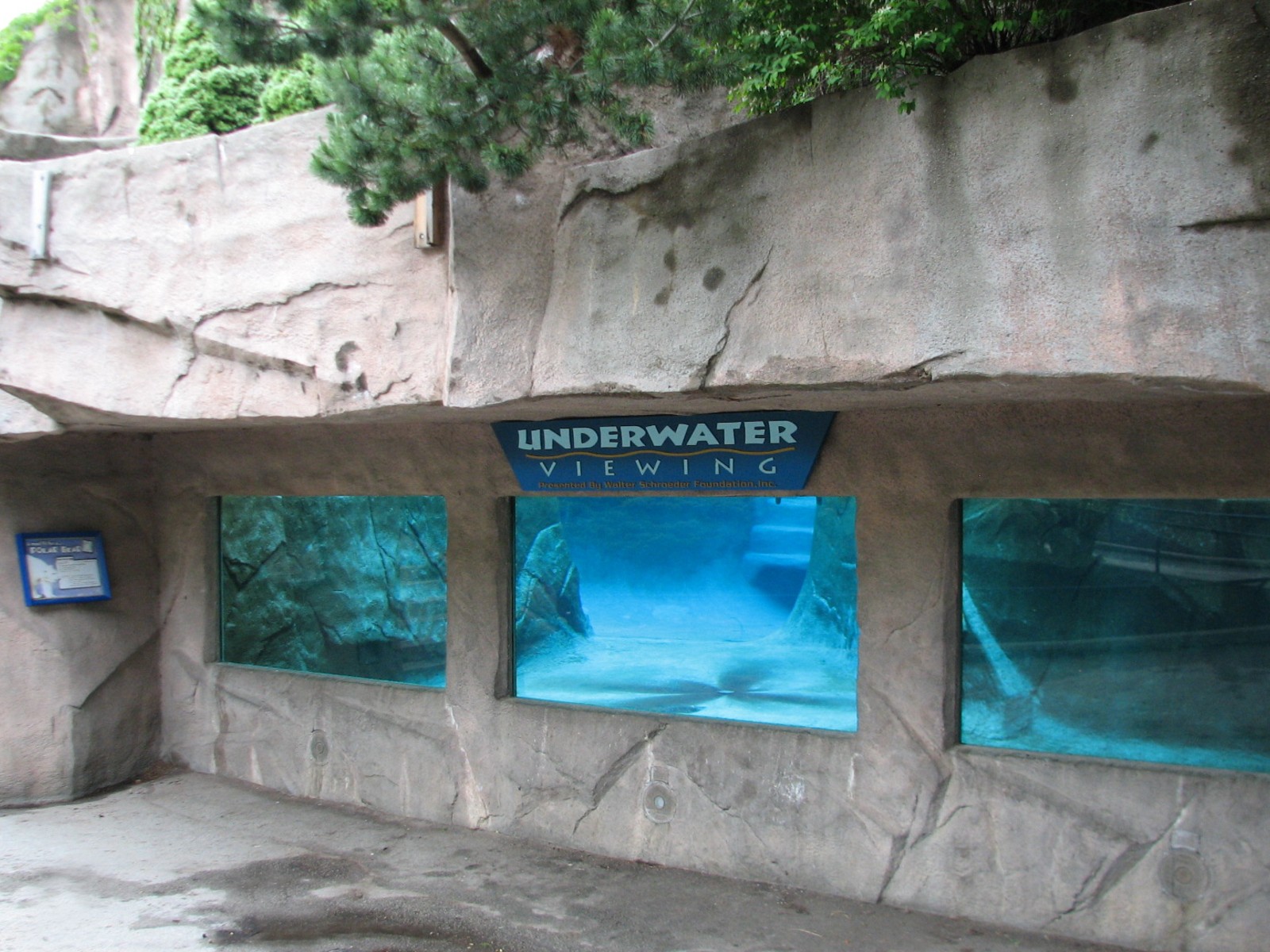 Polar Bear Exhibit