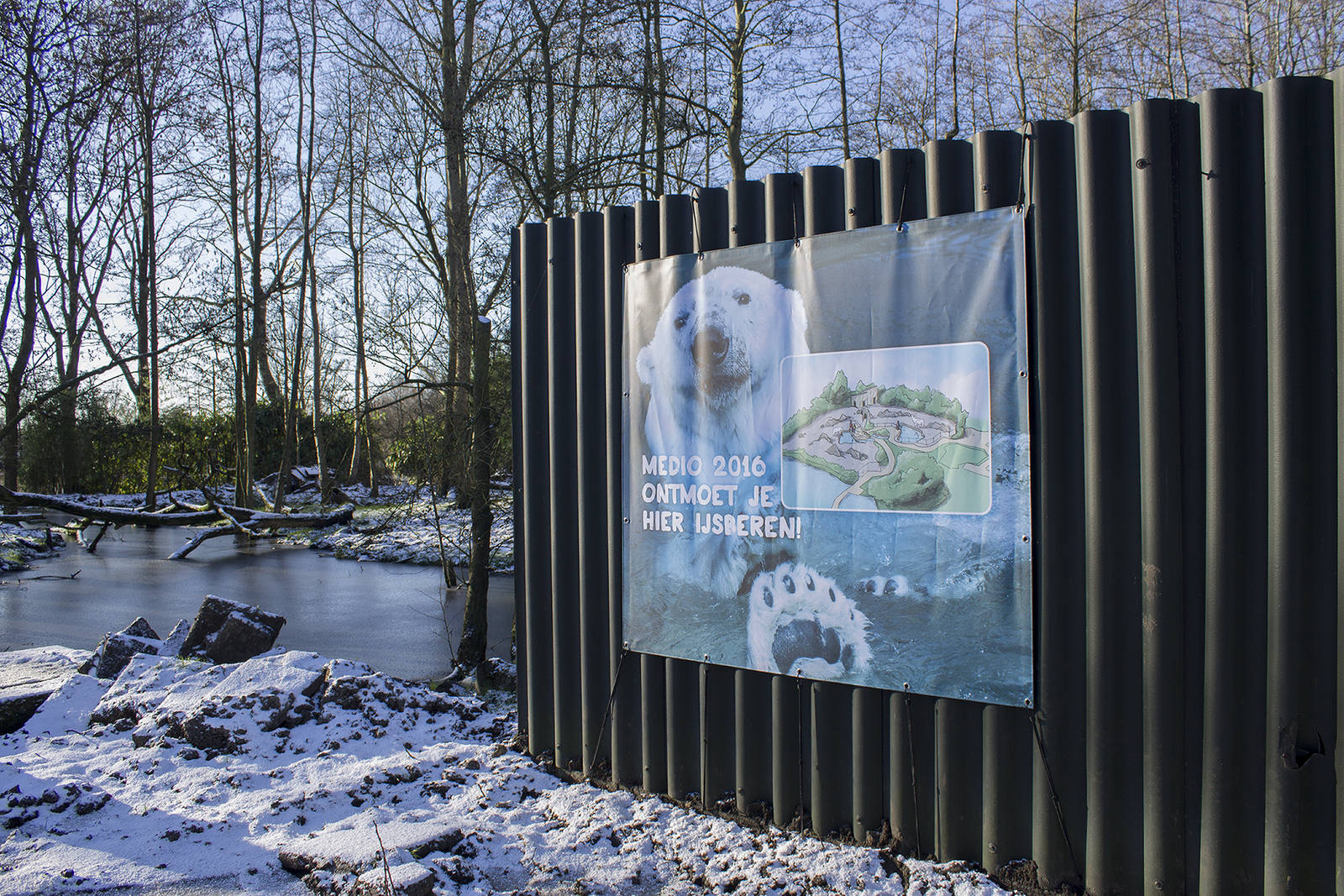 Polar bear expansion