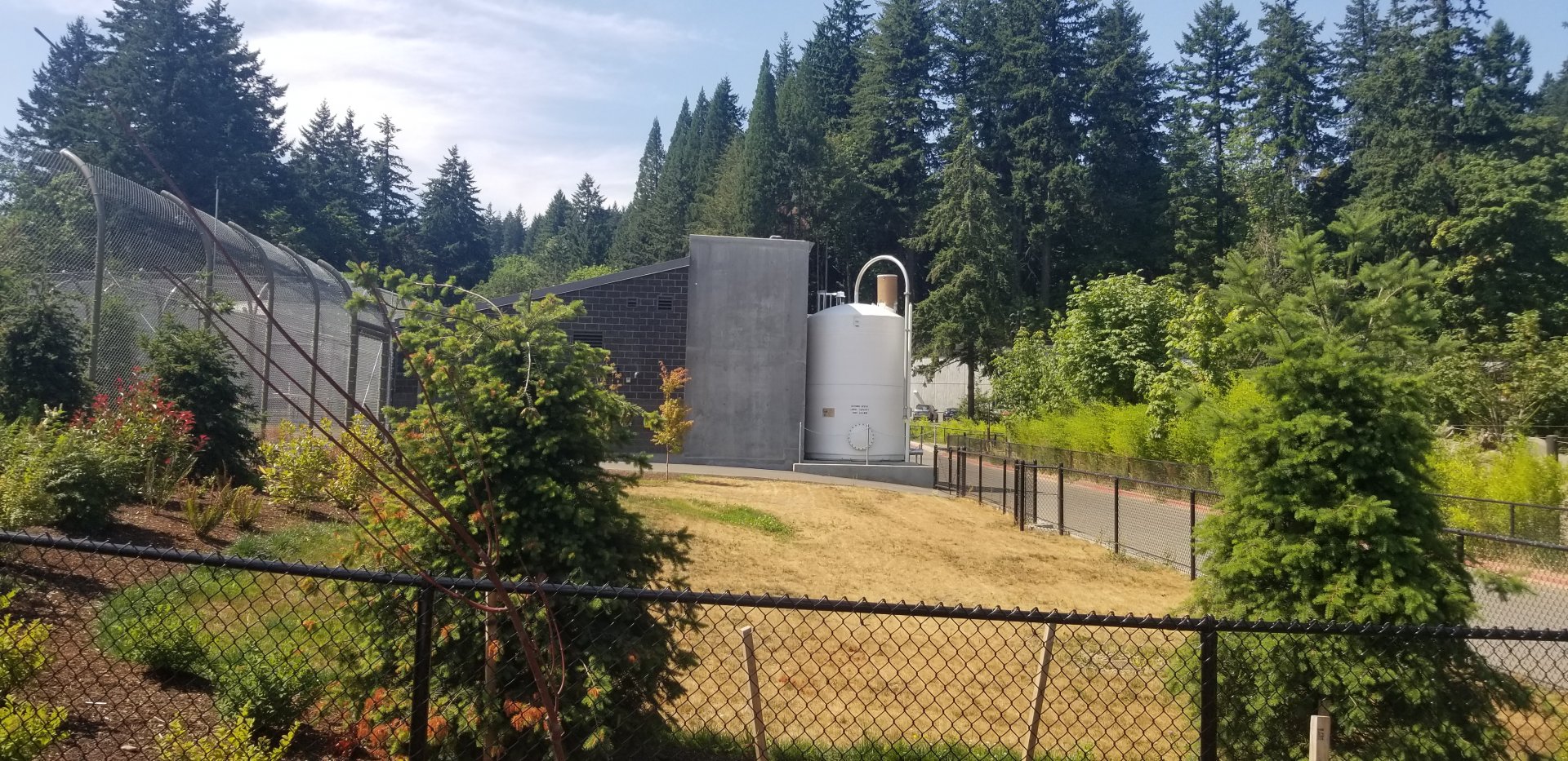 Polar Bear Filtration