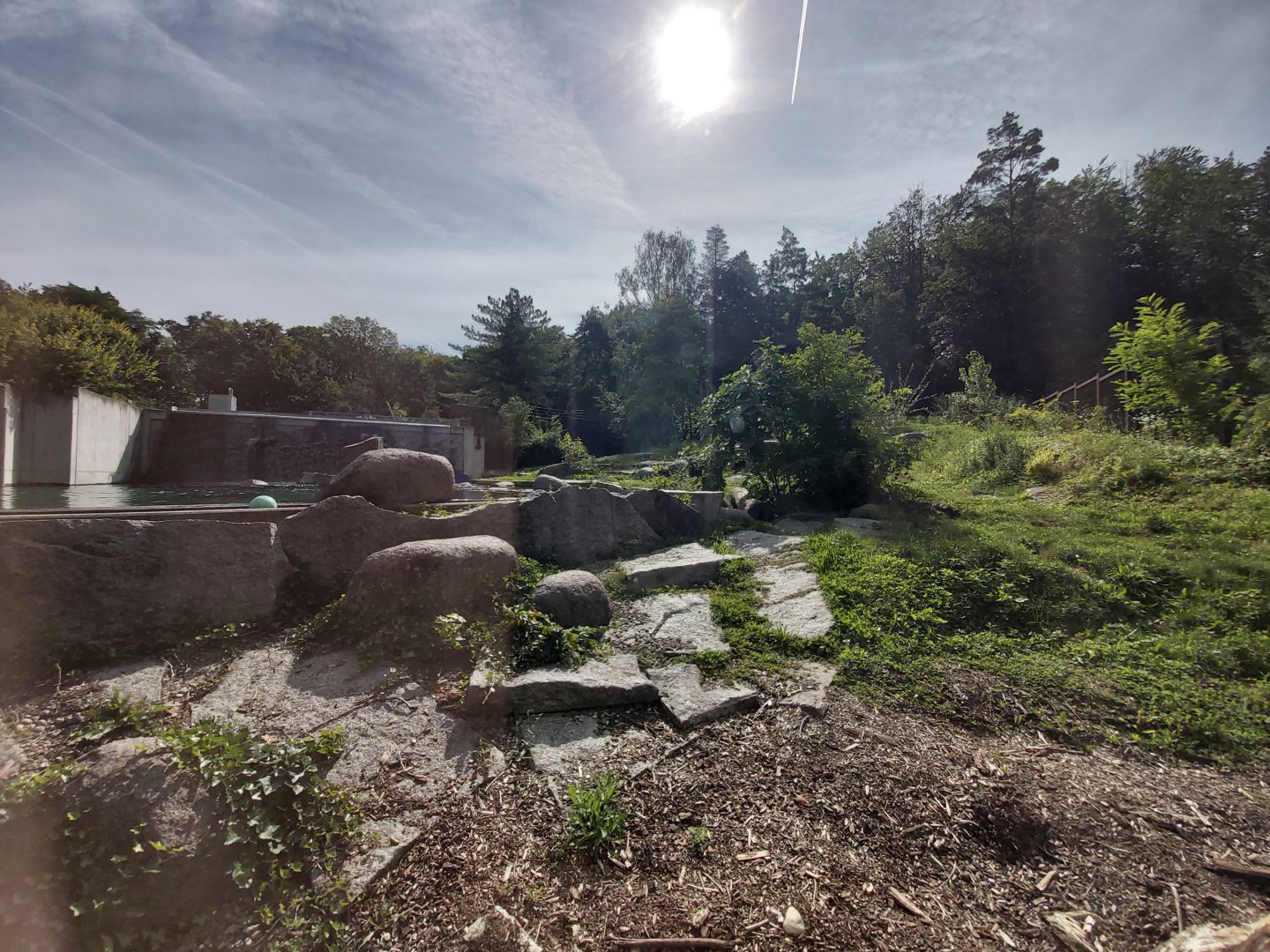 Polar bear first enclosure