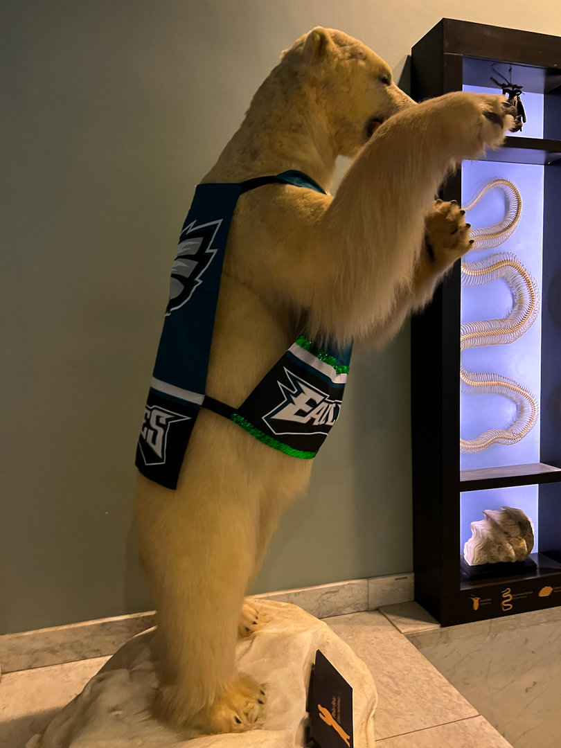 Polar Bear - Fly Eagles Fly!