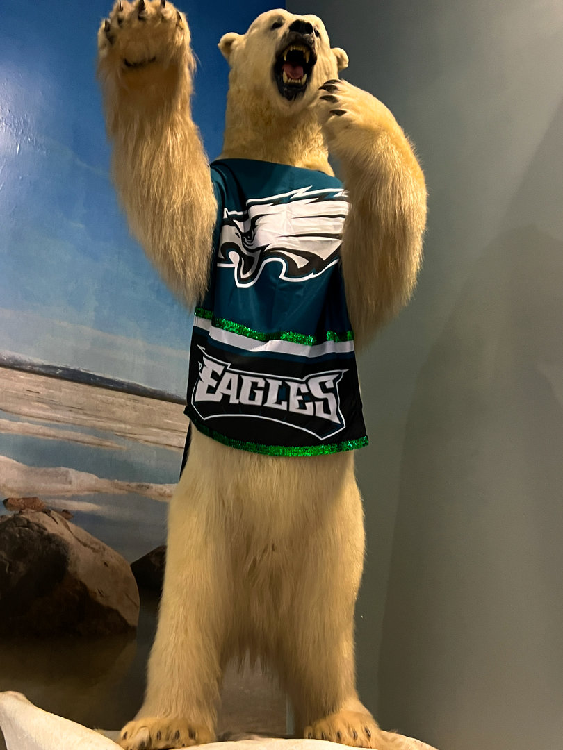 Polar Bear - Fly Eagles Fly!