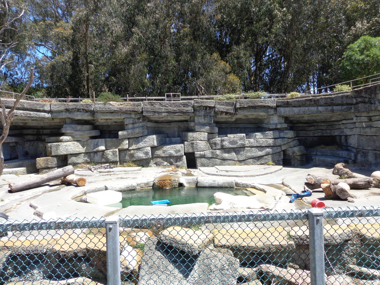 Polar Bear Grotto #1 (2013)