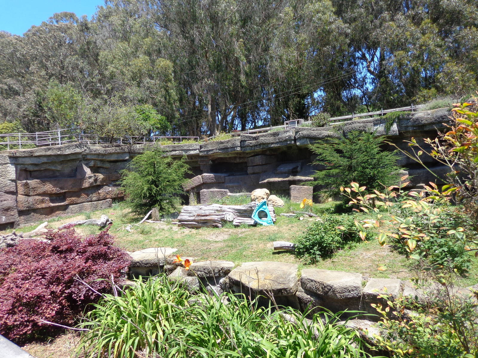 Polar Bear Grotto #2 (2013)