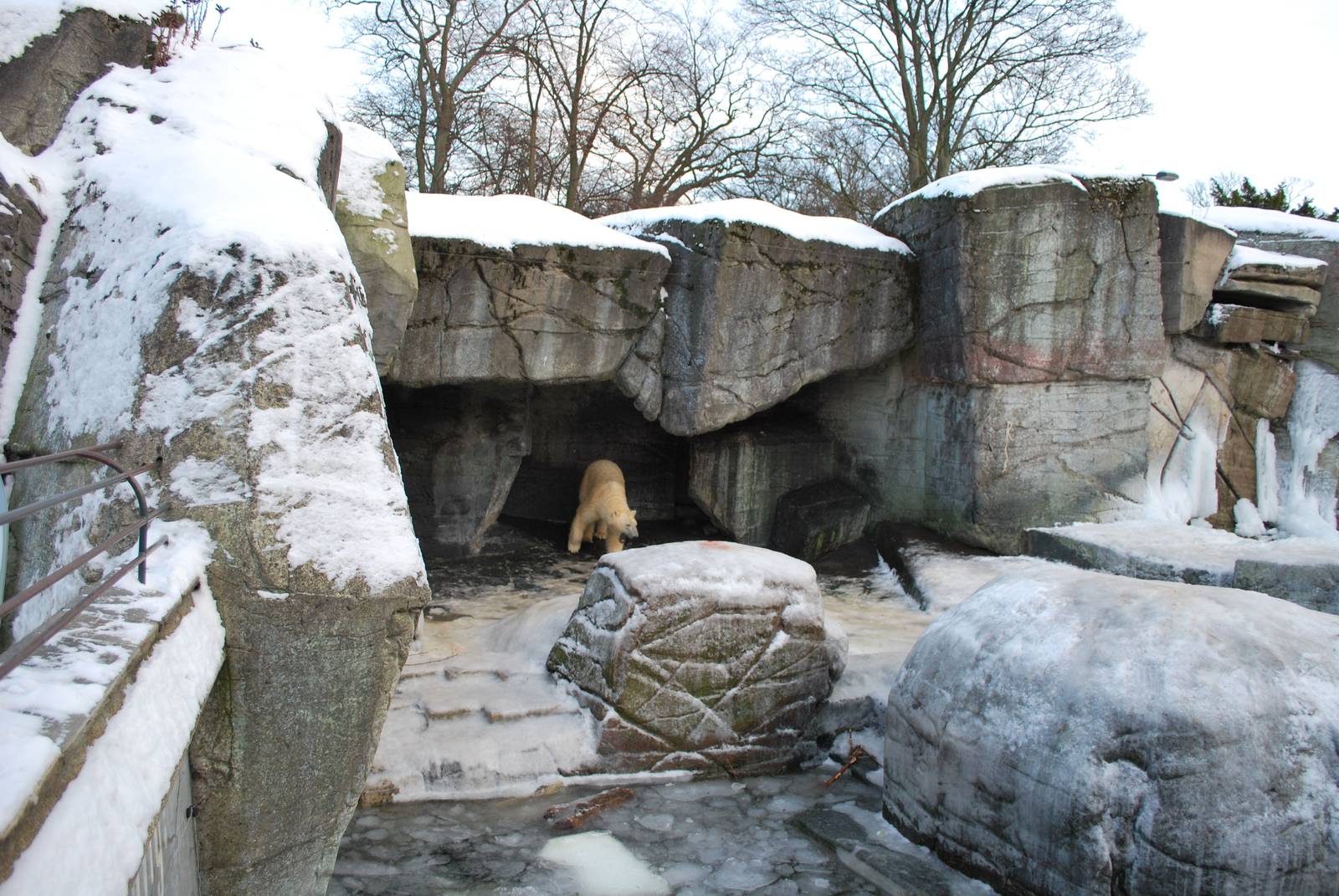 Polar bear grotto no 1
