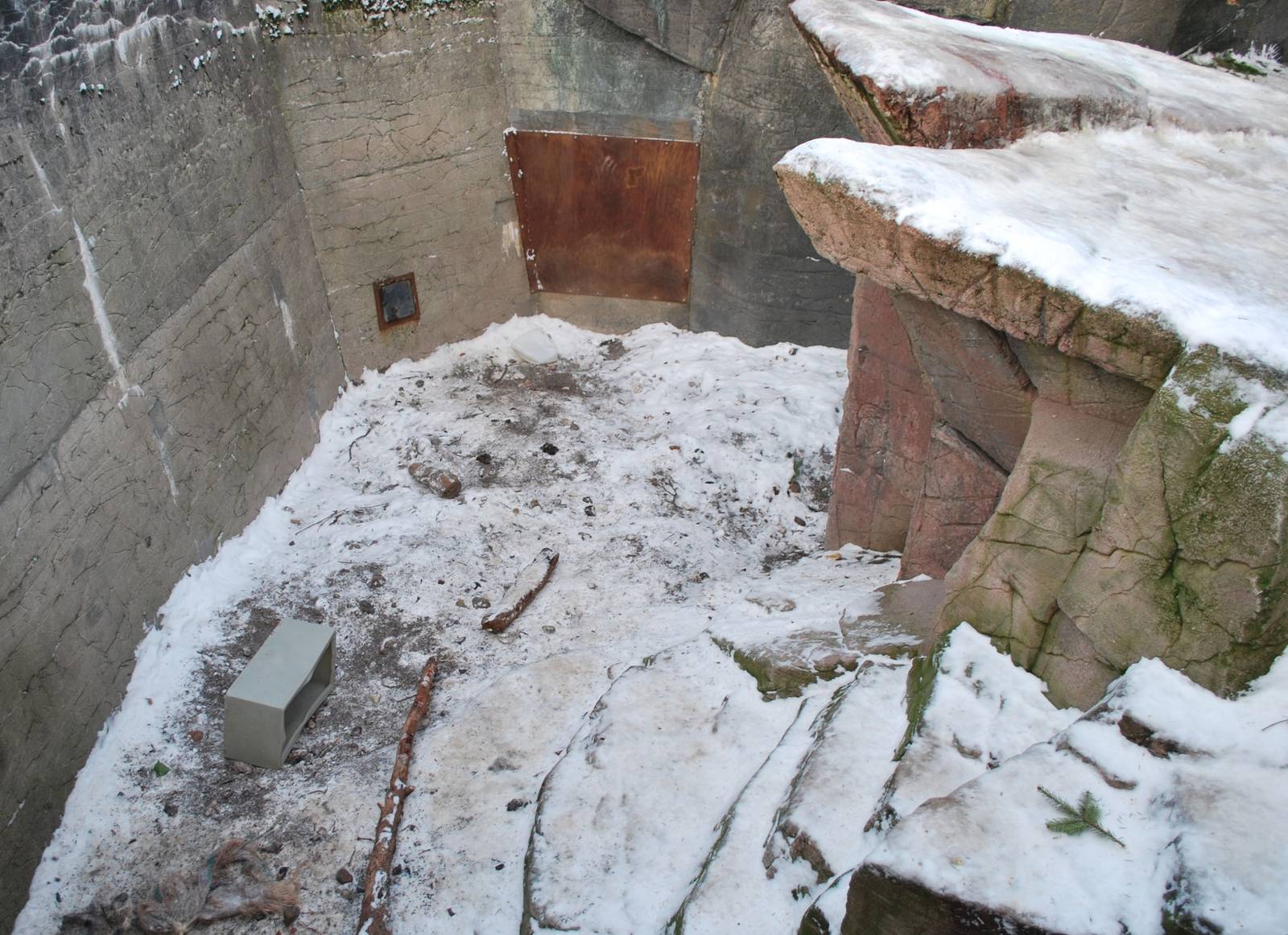 Polar bear grotto no 2