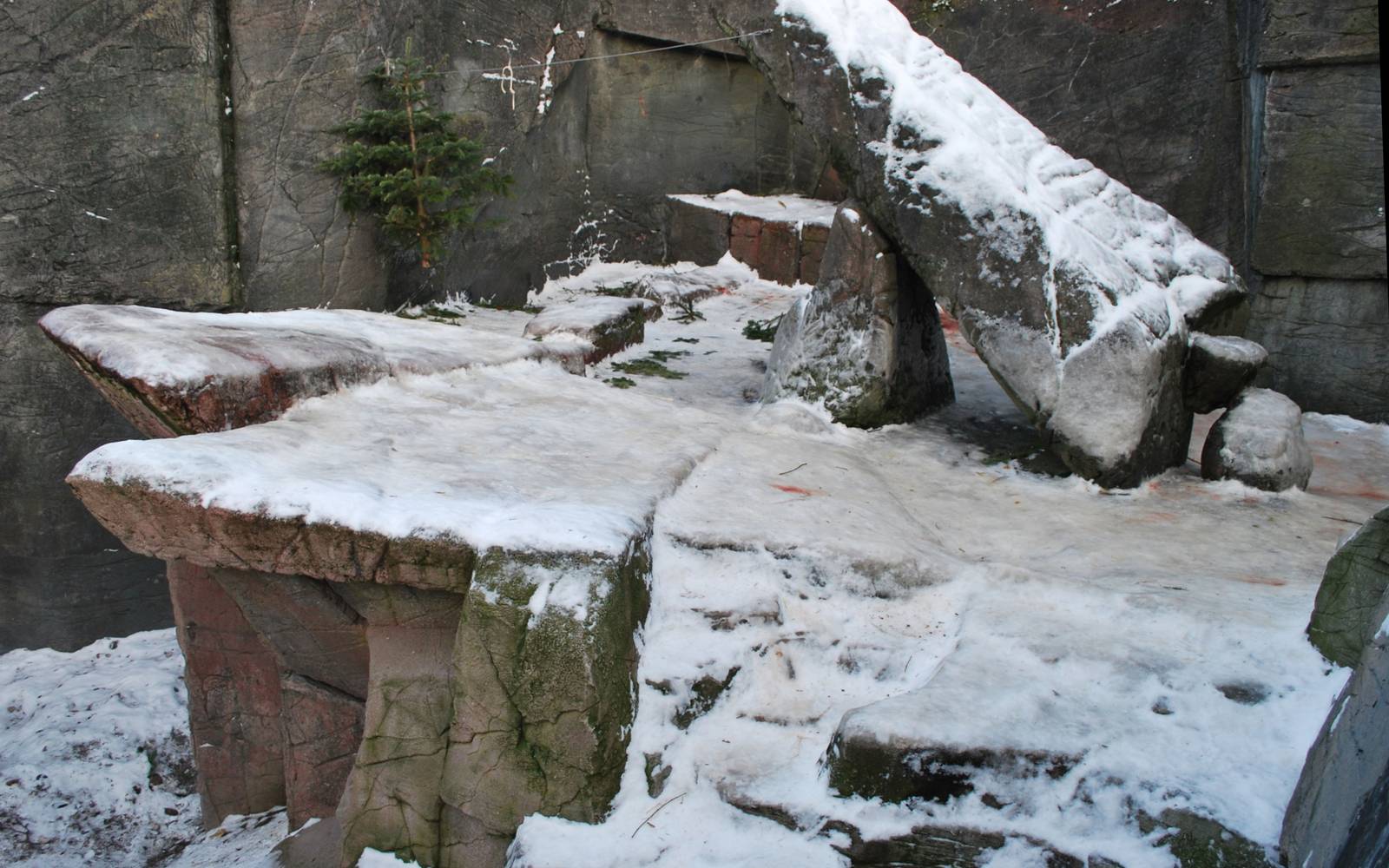 Polar bear grotto no 2